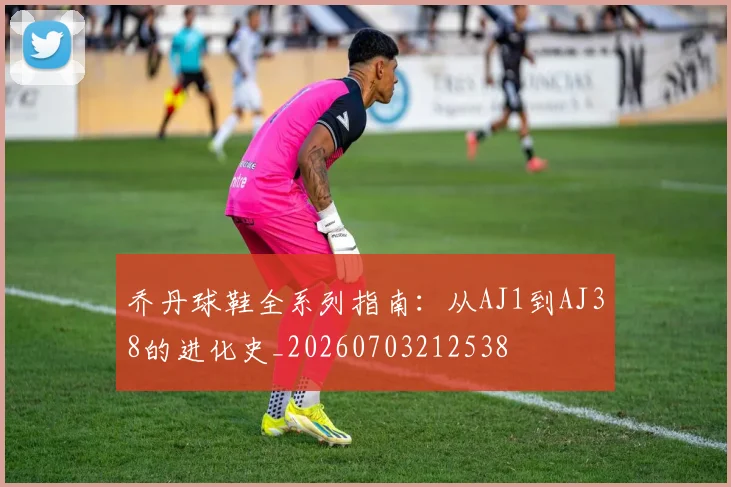 乔丹球鞋全系列指南：从AJ1到AJ38的进化史_20260703212538