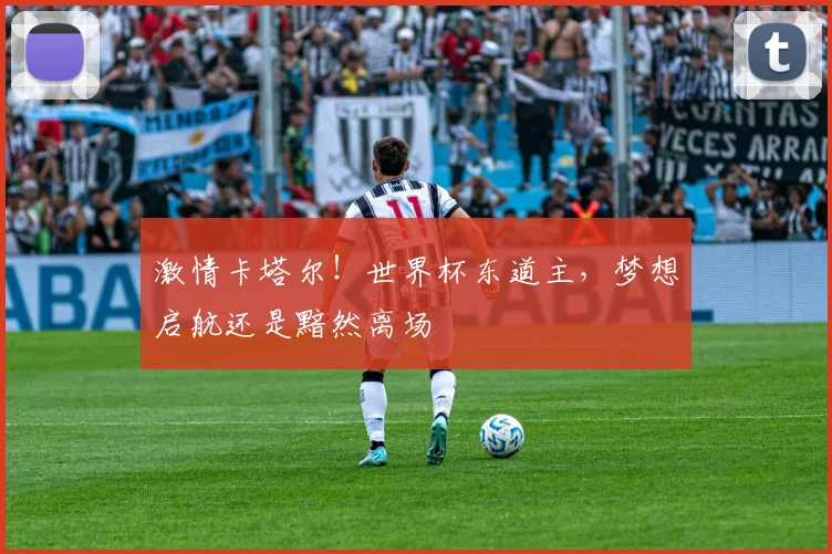 激情卡塔尔！世界杯东道主，梦想启航还是黯然离场