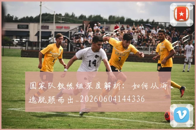 国家队教练组深度解析:如何从海选脱颖而出_20260604144336