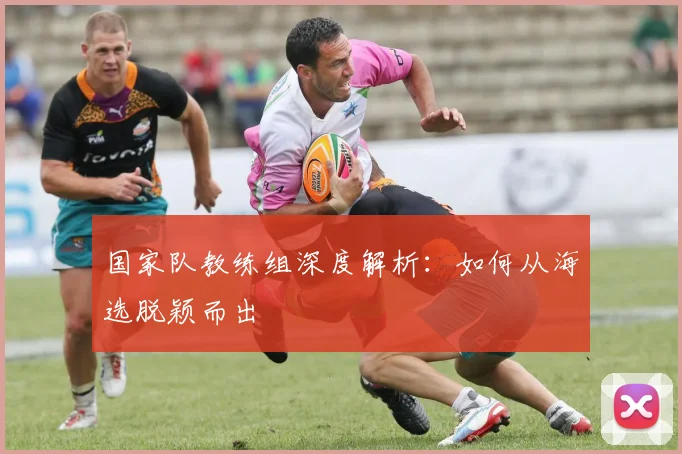 国家队教练组深度解析：如何从海选脱颖而出